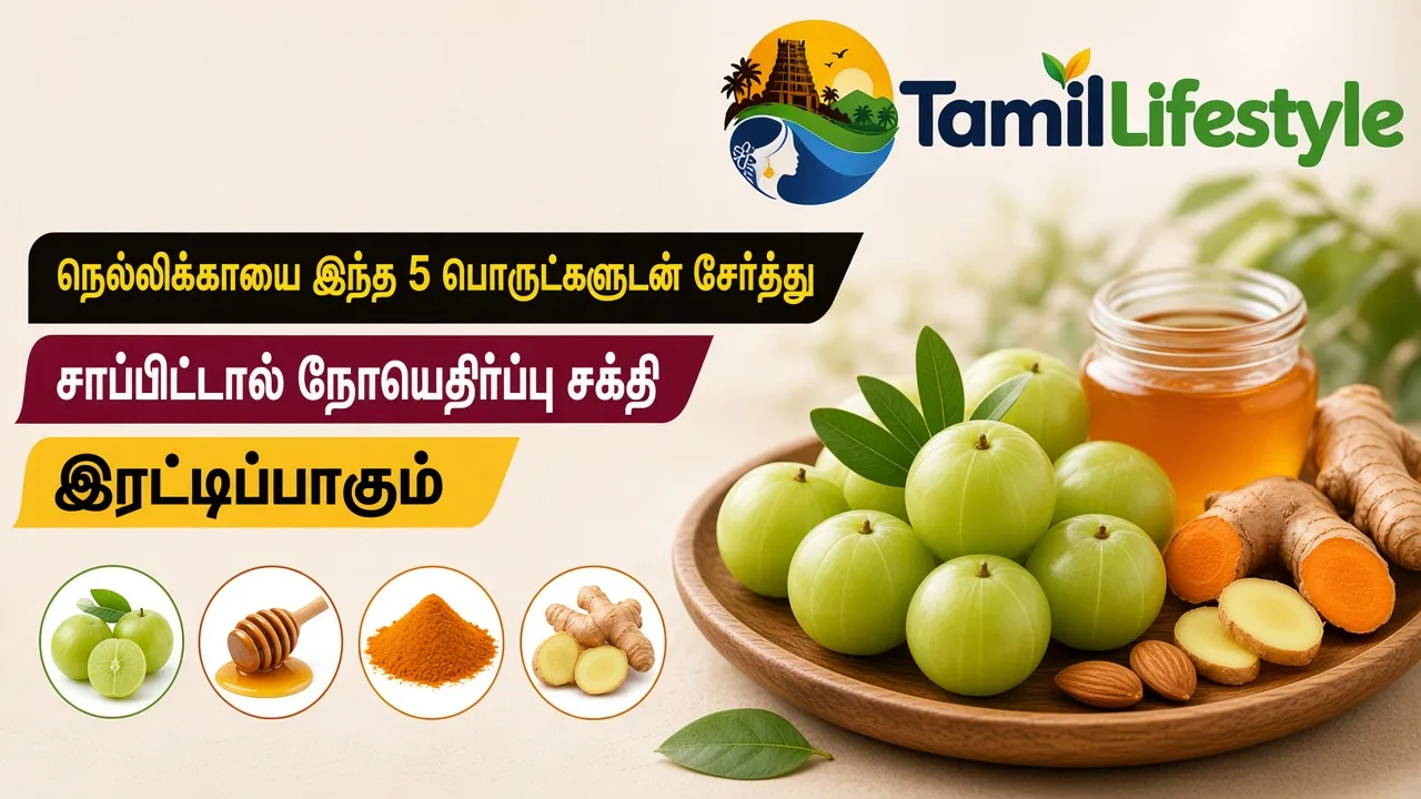 நெல்லிக்காயை இந்த 5 பொருட்களுடன் சேர்த்து சாப்பிட்டால் நோயெதிர்ப்பு சக்தி இரட்டிப்பாகும்