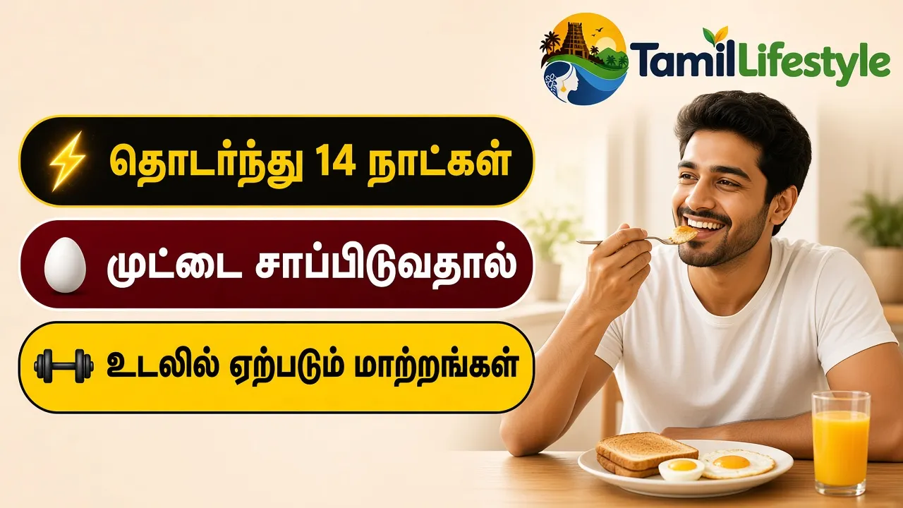 தொடர்ந்து 14 நாட்கள் முட்டை சாப்பிடுவதால் உடலில் ஏற்படும் மாற்றங்கள்