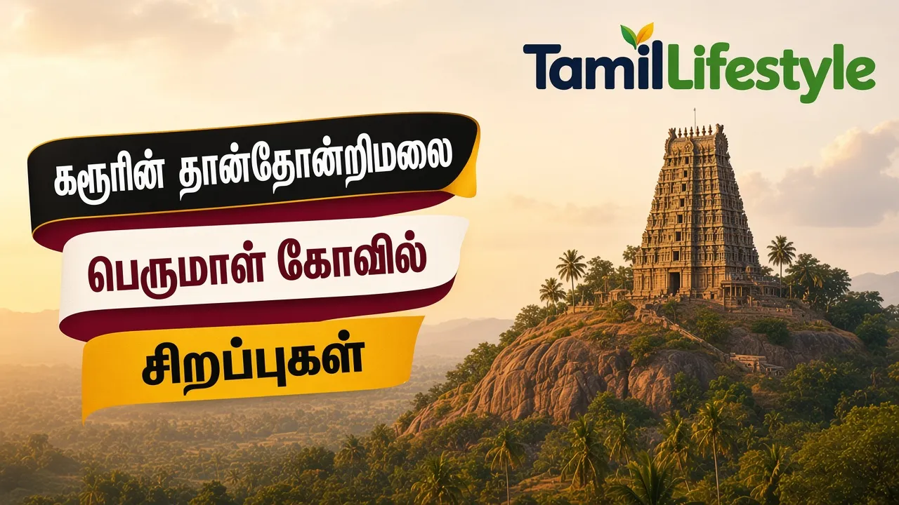 கரூரின் தான்தோன்றிமலை பெருமாள் கோவில் சிறப்புகள்