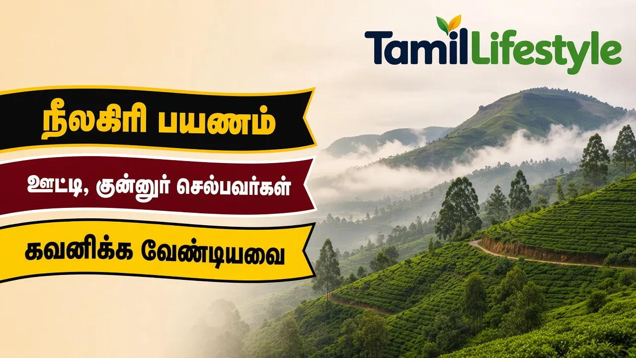 நீலகிரி பயணம்: ஊட்டி, குன்னூர் செல்பவர்கள் கவனிக்க வேண்டியவை