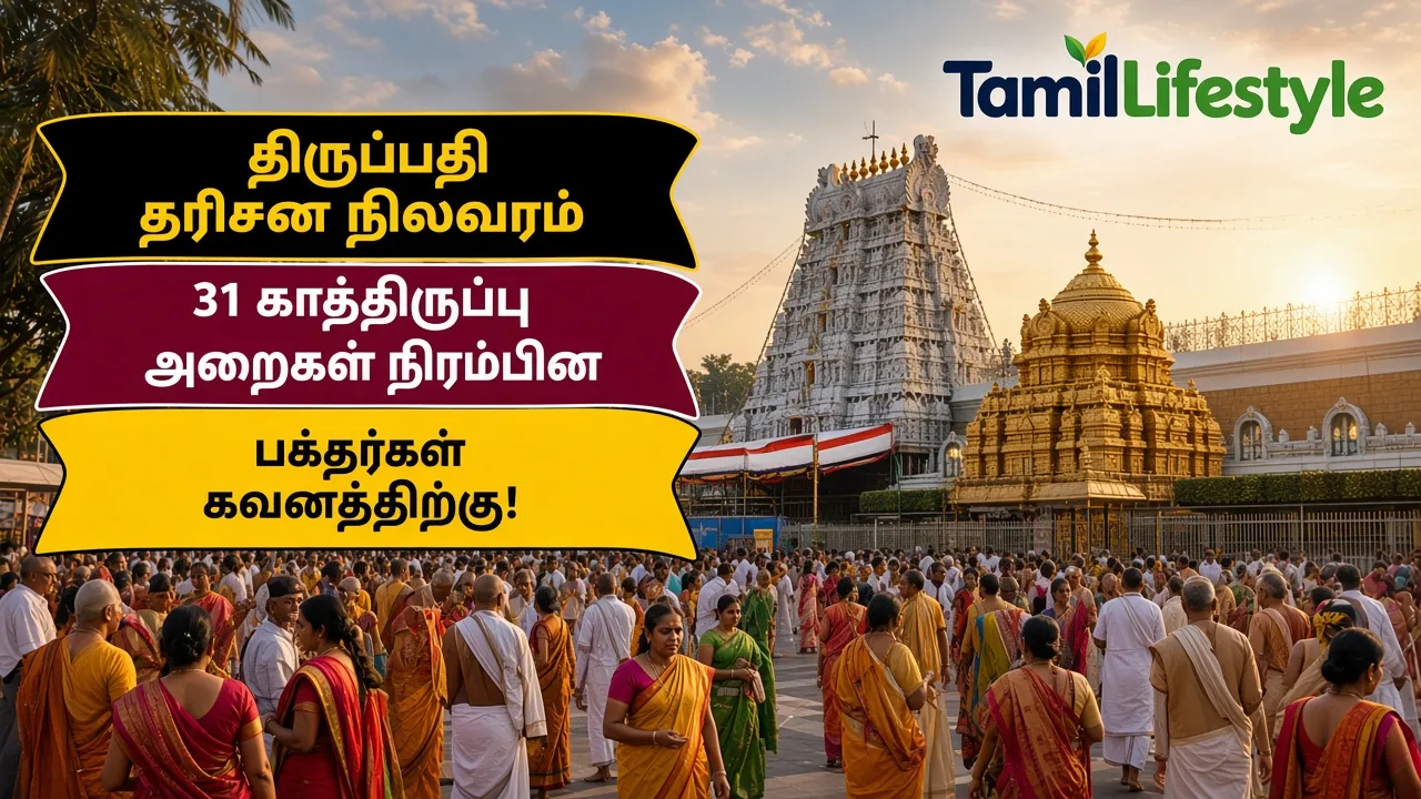 திருப்பதி தரிசன நிலவரம்: 31 காத்திருப்பு அறைகள் நிரம்பின - பக்தர்கள் கவனத்திற்கு!