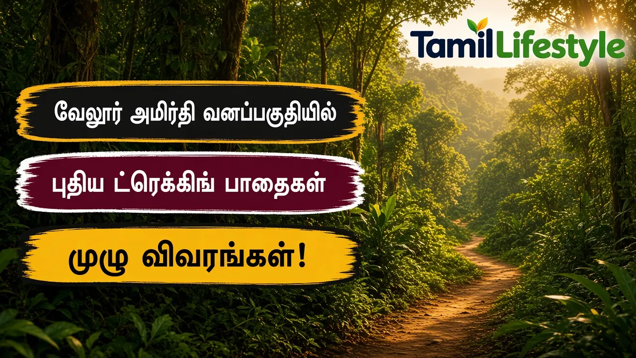 வேலூர் அமிர்தி வனப்பகுதியில் புதிய ட்ரெக்கிங் பாதைகள்: முழு விவரங்கள்!